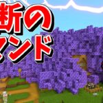 [マイクラREAL検証] 禁断のコマンド！増殖アメジスト：統合版 [Minecraft]