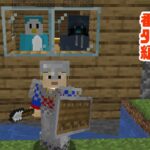 【ナポリのマイクラ番外編】深夜の村作業