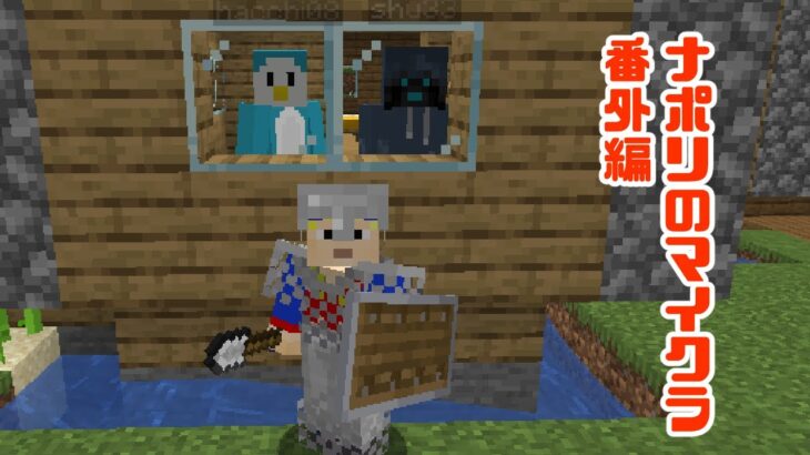 【ナポリのマイクラ番外編】深夜の村作業