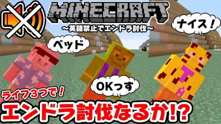 【マイクラ】泣きの第３回、英語禁止エンドラ討伐。ついに達成…！？【帰宅部】