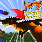 【マイクラ】ドラゴンに変身してサバイバルしてみた結果！？【ゆっくり実況】