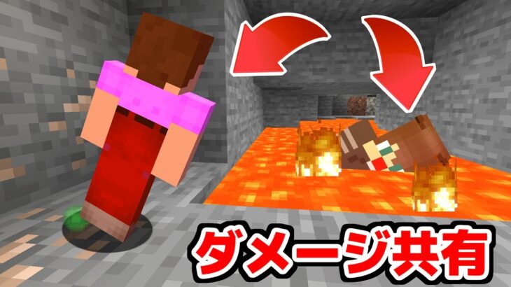 片方がダメージを受けると全員ダメージを受ける地獄の世界【マイクラ】【マインクラフト】