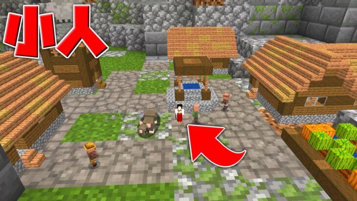 【マイクラ】小人になって世界を救え！！【配布マップ】【ゆっくり実況】