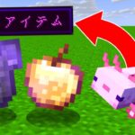 ウーパールーパーを倒すと最強チートアイテムが出るマインクラフト【マイクラ】