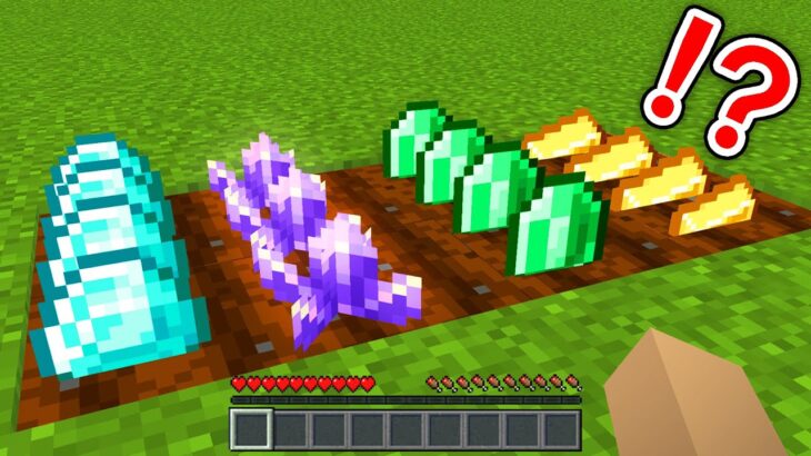 レアアイテムが畑で育つマインクラフトがヤバすぎるｗｗｗ Minecraft Summary マイクラ動画