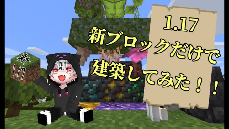 【マイクラ】ver1.17の新ブロックだけで建築してみた！【マインクラフト】