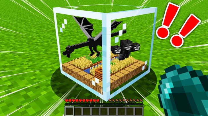 【マイクラ】バグりすぎたマインクラフトが面白すぎるwww 【マインクラフト 】【まいくら】