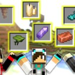 マイクラ1.17の新アイテムをより多く集めろ！【アプデコレクター】