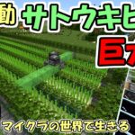 【マインクラフト】#10 マイクラの世界で生きる　～フライングマシン式サトウキビ畑～【実況】