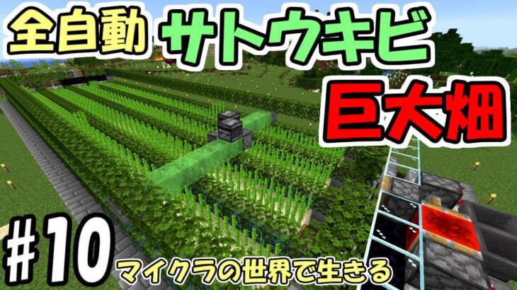 マインクラフト 10 マイクラの世界で生きる フライングマシン式サトウキビ畑 実況 Minecraft Summary マイクラ動画