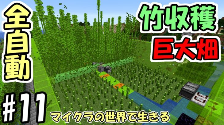 【マインクラフト】#11 マイクラの世界で生きる　～全自動竹収穫巨大畑～【実況】