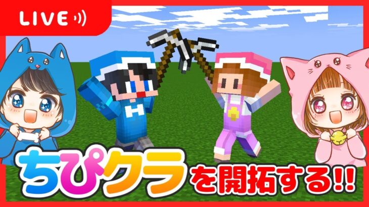 🔴ちぴクラ初配信!!ちぴクラを開拓するぞ～!!🐶🐱🌼13万人ありがとう!!🌸【マイクラ/まいくら】