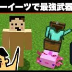 【マイクラ】ウーパールーパーが最強武器をウーバーイーツで配達！「#150 ドイヒーくんのMODやってみた！」