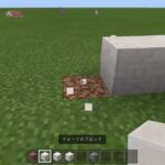 【 20 】また、今さら再開するマインクラフト「交易所の建築」【PS4】