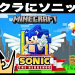 【マイクラ】ソニック走るの超はぇぇぇ！！！「#34 ドイヒーくんのテクスチャのワールドやってみた！」