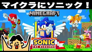 【マイクラ】ソニック走るの超はぇぇぇ！！！「#34 ドイヒーくんのテクスチャのワールドやってみた！」