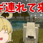 【マイクラ統合版】ついに住人が？雪山から第二クロワッサンにヤギを連れて来た！　パート487【ゆっくり実況】