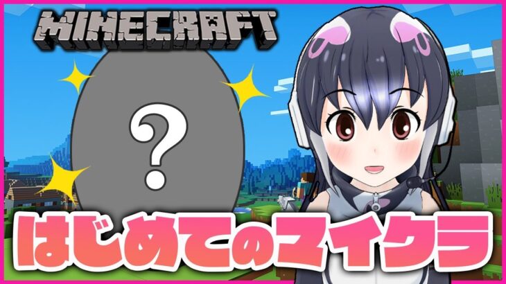 【MINECRAFT】初見！マイクラ！【＃ケープペンギンちゃんねる/＃けもV】