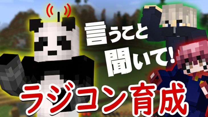 【マインクラフト】右だ！左だ！壊れたラジコンつちのこさん【マイクラ呪術廻戦MODサバイバル #8】