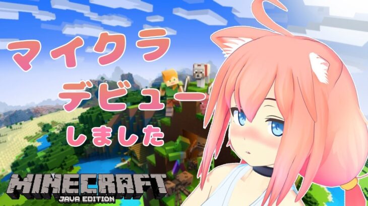 【Minecraft】初めてのマイクラ！なにしようかな【ド初心者】