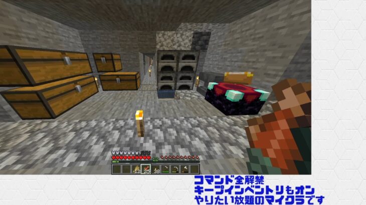 【Minecraft】面倒だったのでコマンド全解禁した人【ジイルのまいぺーす配信】