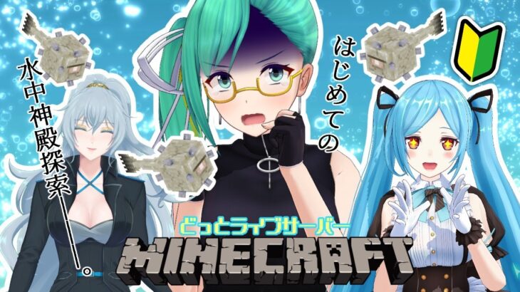 【Minecraft】はじめての海底神殿探索【#どラ鯖マイクラ】