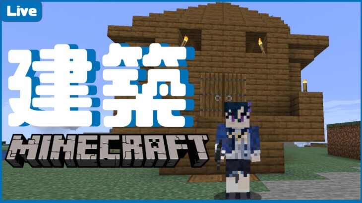 【Minecraft】建築続き進めます！！