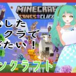 【Minecraft】きりンクラフト！整地＆家建てたい！　＃4