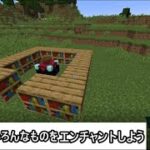 【Minecraft】【🔵LIVE】いろんなものをエンチャントします！なんの効果が付くかお楽しみに！！！