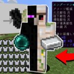 【マイクラ】モブ同士の合体防具が強すぎる！？ガチャガチャから出たアイテムでPVPガチバトル！