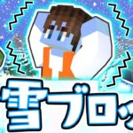 まさかの全ロスト!?新アイテムの粉雪ブロックで検証!!マイクラ実況Part286【マインクラフト】