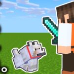 これは仕方がないんです…実績解除めざしてオオカミ探し!!マイクラ実況Part306【マインクラフト】