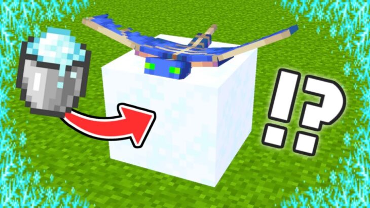 粉雪ブロックにファントムを入れると何が起こる マイクラ Shorts Minecraft Summary マイクラ動画