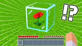 ガラスの中に花を入れる方法【マイクラ】 #Shorts