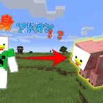 【マイクラ アドオン】変身できるアドオン！！ まるでmod！？ 【マインクラフト統合版】【PE/BE】【アドオン紹介】【変身アドオン】