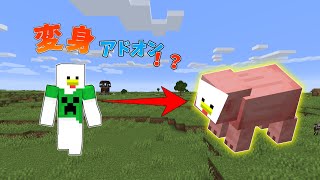 マイクラ アドオン 変身できるアドオン まるでmod マインクラフト統合版 Pe Be アドオン紹介 変身アドオン Minecraft Summary マイクラ動画