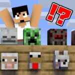 【禁断】モブの頭集め選手権！！【マイクラ】