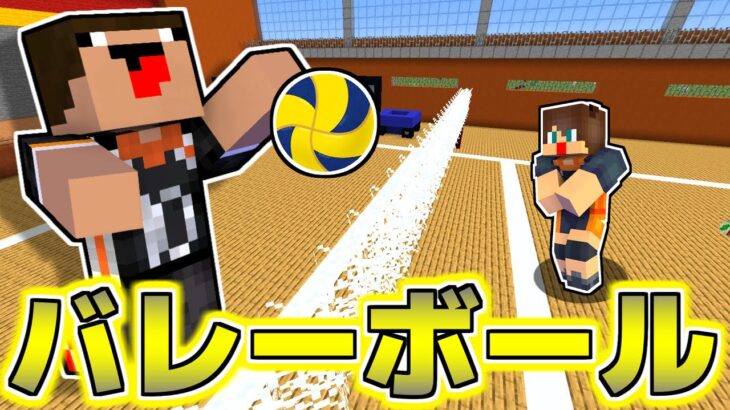 【マイクラ】コートから全部自作した遊びが面白すぎた！！【バレーボール編】【ありかのワールド】【マインクラフト】