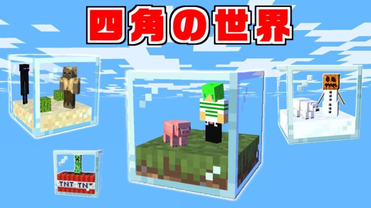 【マインクラフト】四角いブロックの中でサバイバルしたらヤバすぎた！？