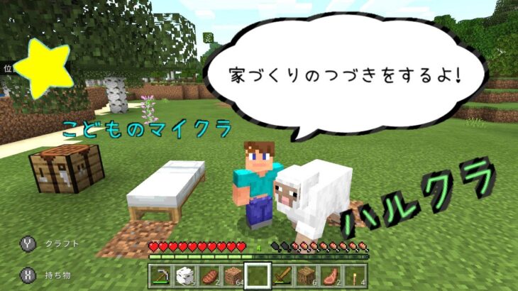 村人の家を破壊【マインクラフト】09