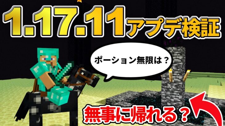 【マイクラ統合版】1.17.11アプデでエンドバグと無限ポーションがどうなったのか検証【PE/PS4/Switch/Xbox/Win10】ver1.17