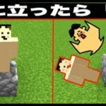 【マイクラ】もしも草の上に乗ったら死ぬワールドやってみたら？「#158 ドイヒーくんのMODやってみた！」