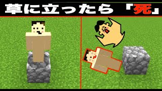 【マイクラ】もしも草の上に乗ったら死ぬワールドやってみたら？「#158 ドイヒーくんのMODやってみた！」