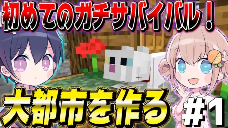 【マイクラ】2人でマイクラ生活始めたら1日目で発展し過ぎたｗｗｗｗ【2人実況】