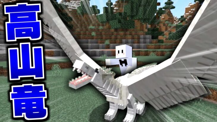 マイクラ ドラゴンだらけの世界で全てのドラゴンを飼いならす 3 高山竜が怖すぎる マインクラフト Minecraft Summary マイクラ動画