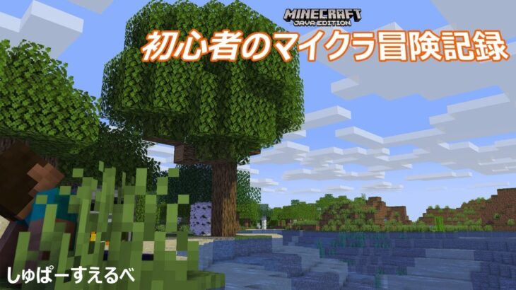 【マインクラフト】建築大会ようやく閉幕！投票と閉会式やるよ！  初心者のマイクラ冒険記録 36日目【ネタバレ×】