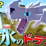 【マイクラ】ドラゴンだらけの世界で全てのドラゴンを飼いならす #4 ドラゴンが強化されてヤバい!?【マインクラフト】