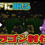 #4【マイクラ】装備を強化して地下のドラゴンを討伐だ！【あくまで個人戦】