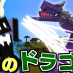 【マイクラ】ドラゴンだらけの世界で全てのドラゴンを飼いならす #6 ライトニングドラゴンかっこよすぎだろ！【マインクラフト】