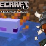 【なにクラ ～カタチを持たないマインクラフト～】#6.3　ソロ配信